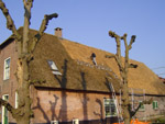 Rietdekkersbedrijf Juffermans